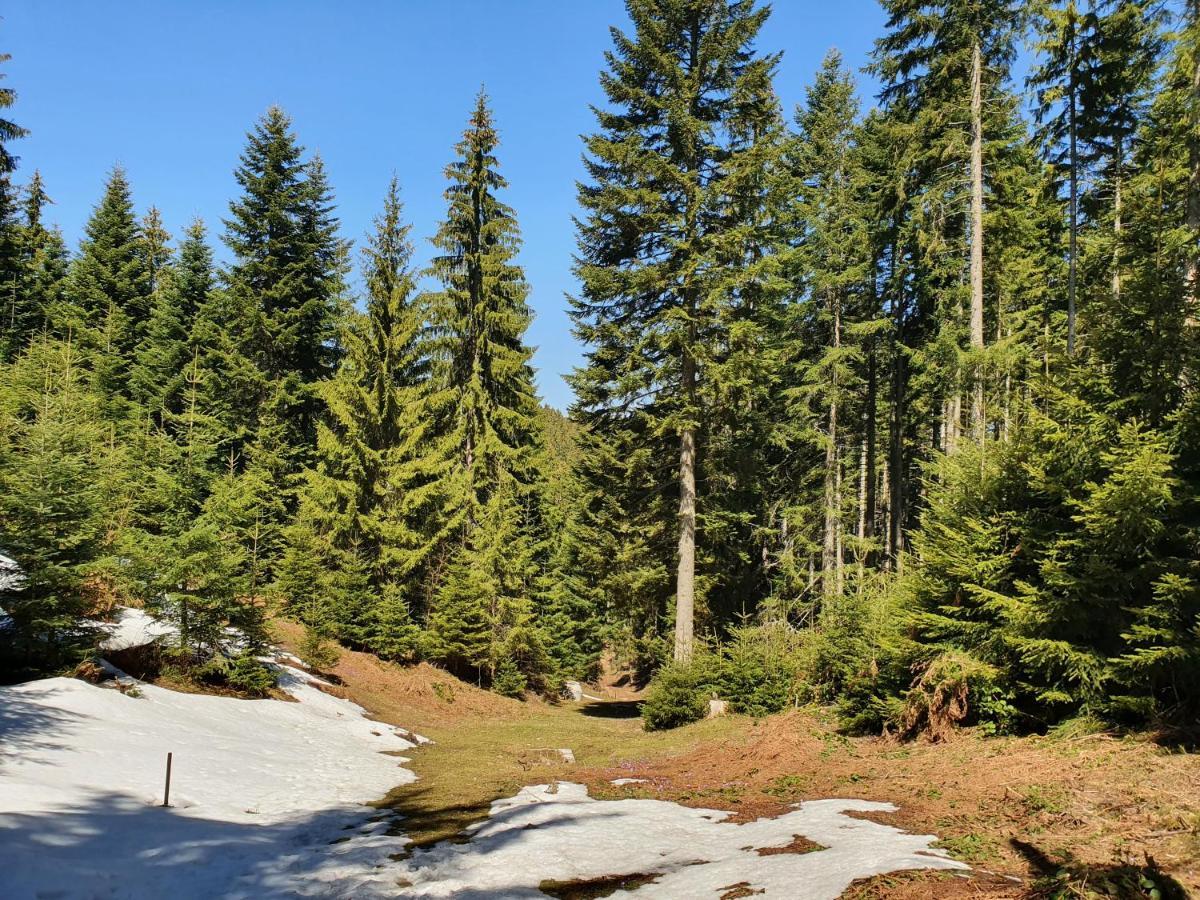Zlatar Luxury Chalet - Trace Of Nature 2214 Nova Varoš Εξωτερικό φωτογραφία