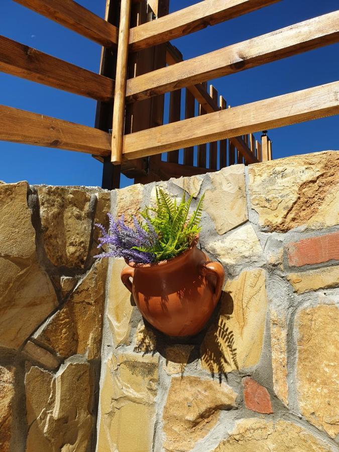 Zlatar Luxury Chalet - Trace Of Nature 2214 Nova Varoš Εξωτερικό φωτογραφία