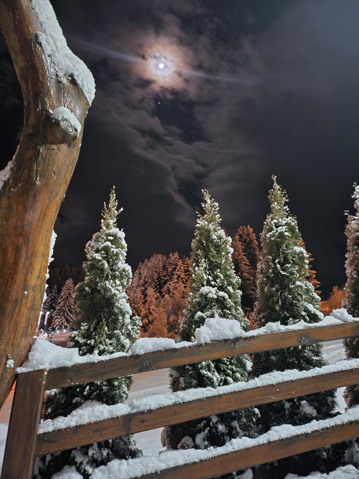 Zlatar Luxury Chalet - Trace Of Nature 2214 Nova Varoš Εξωτερικό φωτογραφία
