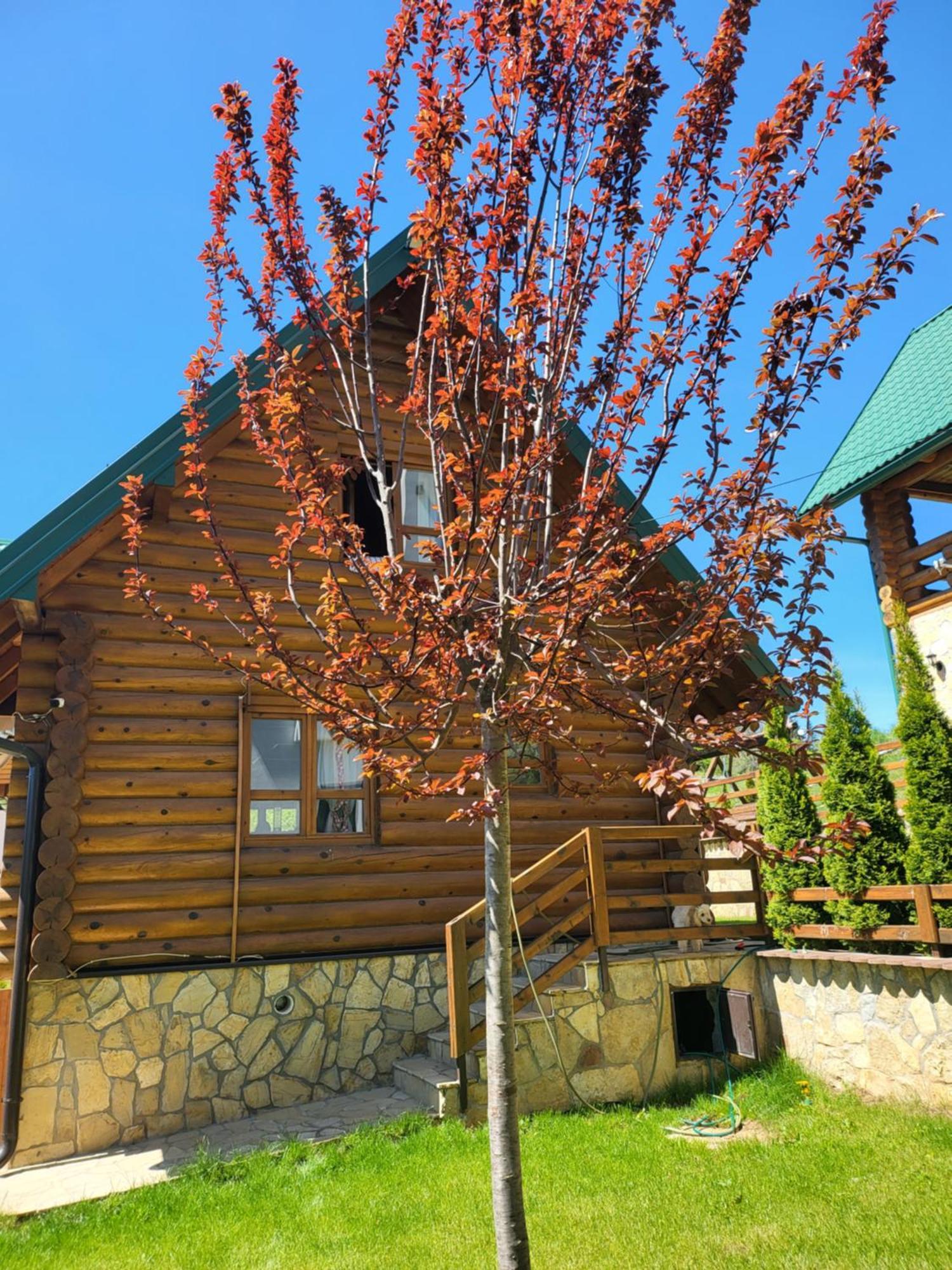 Zlatar Luxury Chalet - Trace Of Nature 2214 Nova Varoš Εξωτερικό φωτογραφία